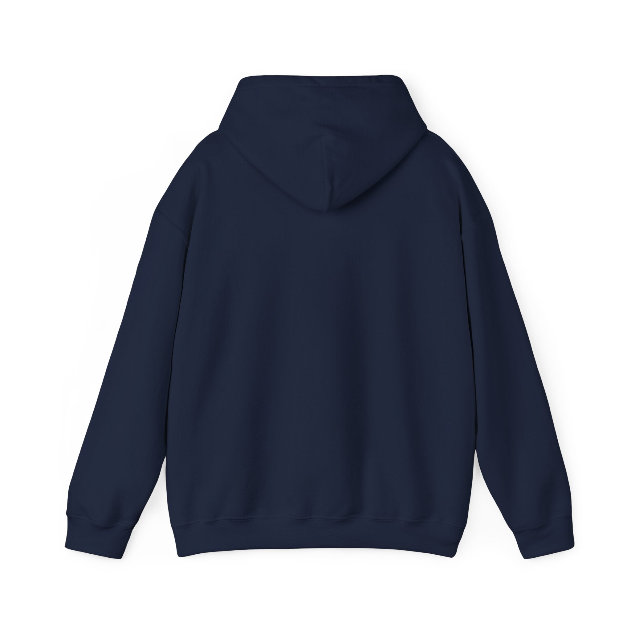 250th Anniversary Patriotic Hoodie | 4th of July, Independence Milestone