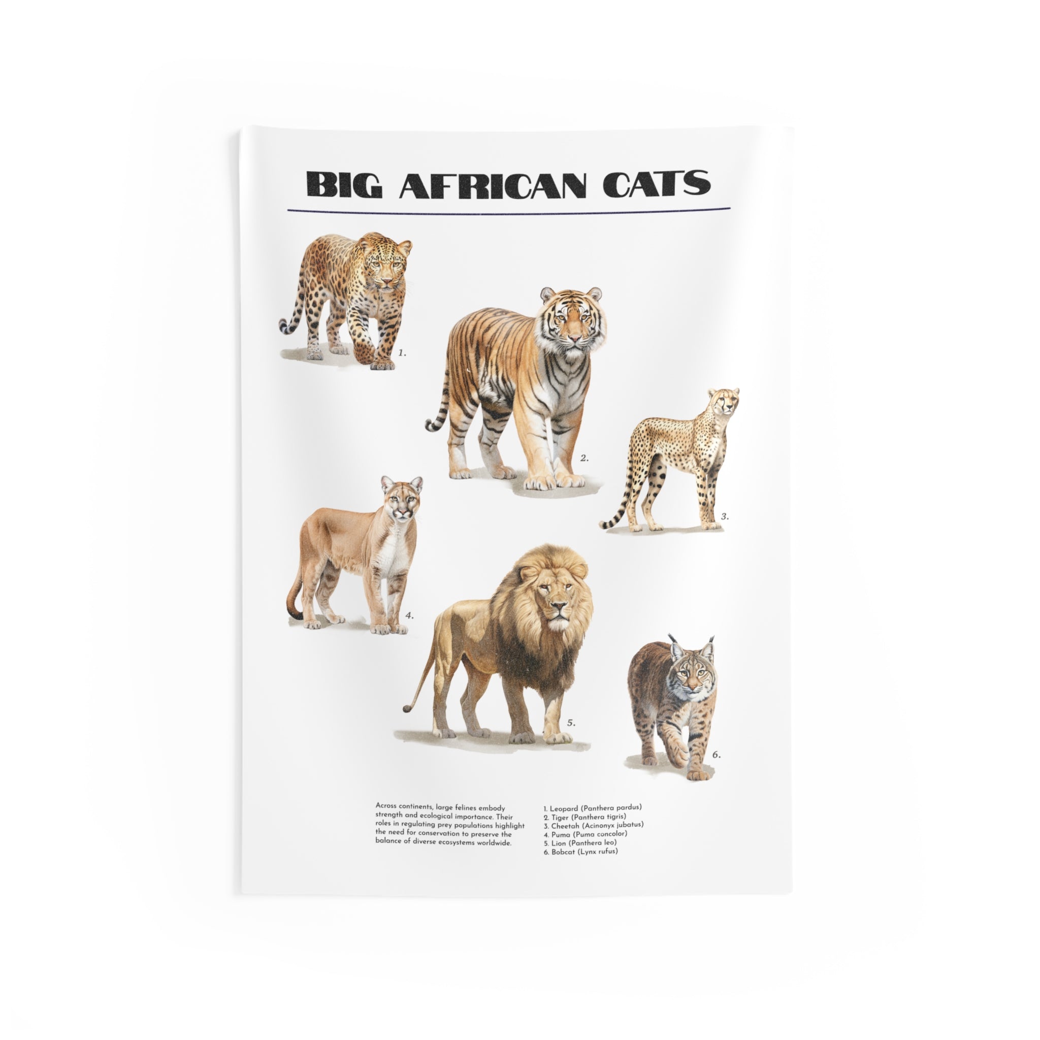 Big African Cats Wall Tapestry — Educational Wildlife Poster for Home, Classroom, Nursery